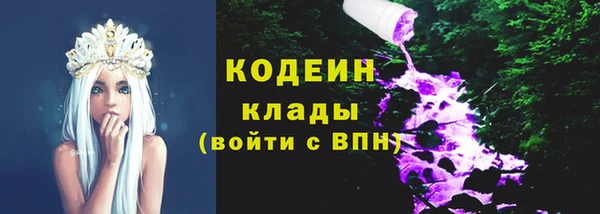 хмурый Аша