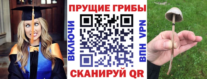 даркнет формула  Вичуга  Псилоцибиновые грибы Psilocybine cubensis  OMG маркетплейс 