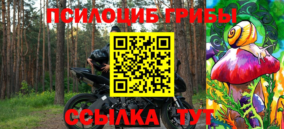 Галлюциногенные грибы GOLDEN TEACHER  купить   Вичуга  Псилоцибиновые грибы Magic Shrooms 