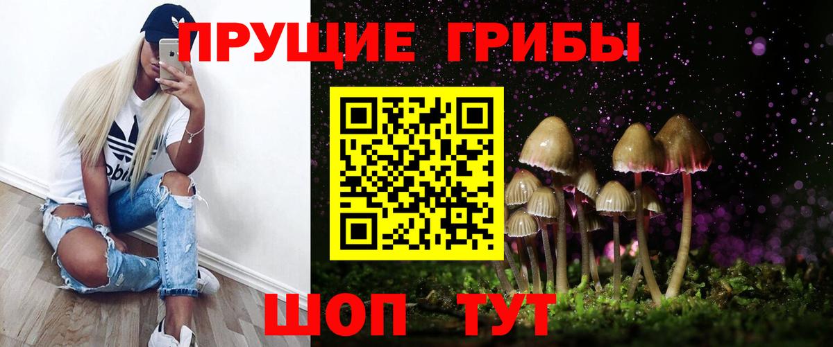 Вичуга  Галлюциногенные грибы Psilocybine cubensis  Вход с VPN 