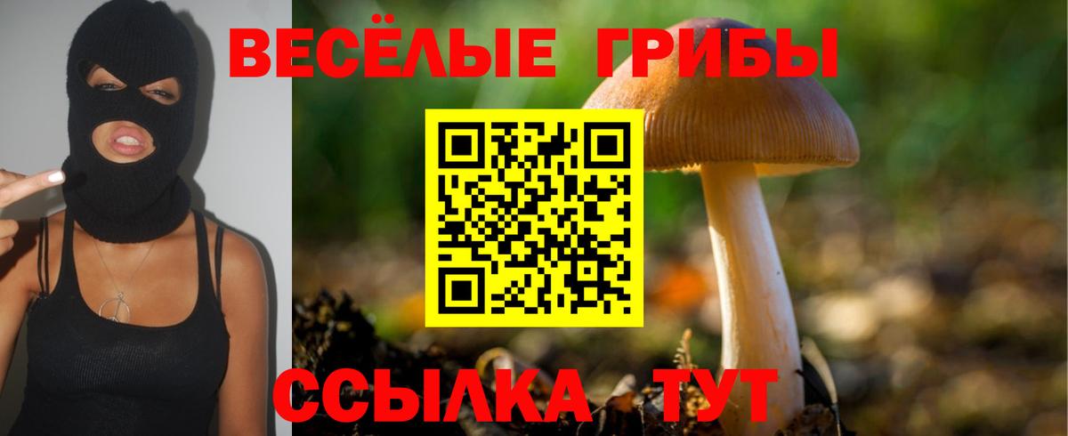 Псилоцибиновые грибы Magic Shrooms Вичуга