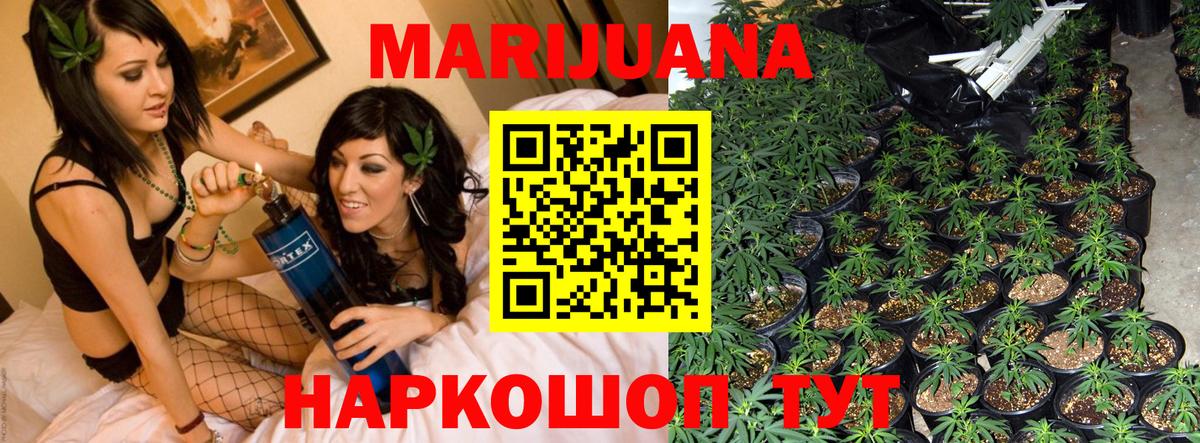 Бошки Шишки Amnesia  Вход с VPN  Шишки марихуана Amnesia  Вичуга 