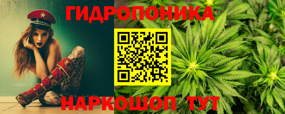 Бошки Шишки индика Вичуга